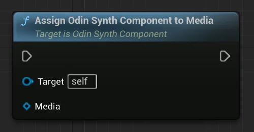 Odin Assign Synth to Media
