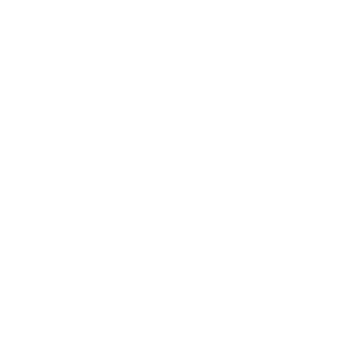 Polygon Art